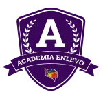 Logo Enlevo